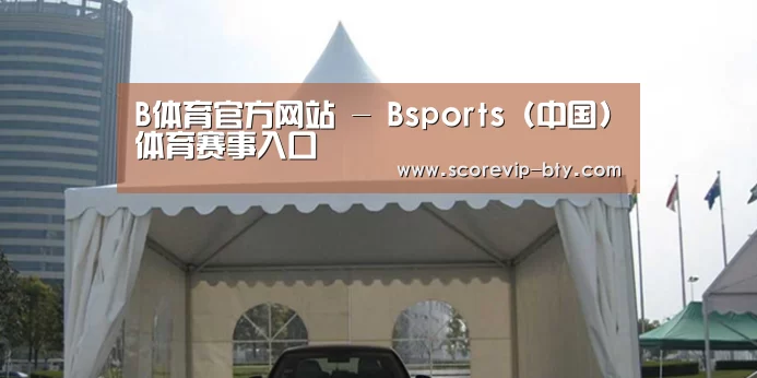 案例标题八