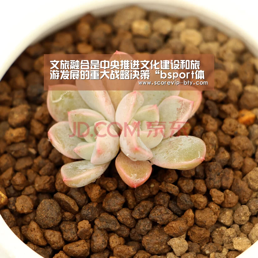 文旅融合是中央推进文化建设和旅游发展的重大战略决策“bsport体育”(图3) 文旅融合是中央推进文化建设和旅游发展的重大战略决策“bsport体育”(图3)